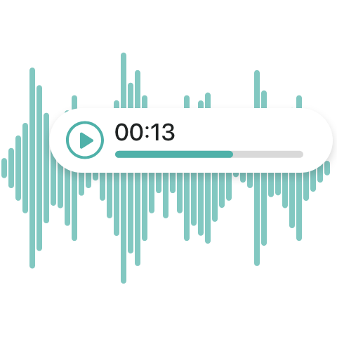 voice_feature